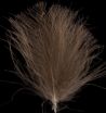 Dark brown Swiss CDC feather